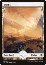 Plains card image
