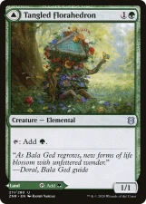 Tangled Florahedron // Tangled Vale card image