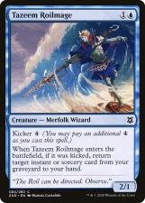 Tazeem Roilmage card image