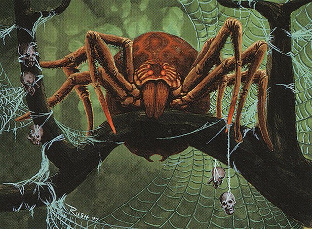 Canopy Spider