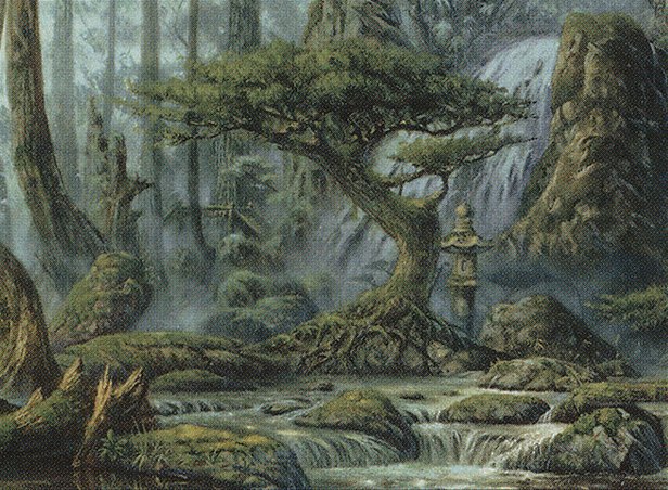 Forest