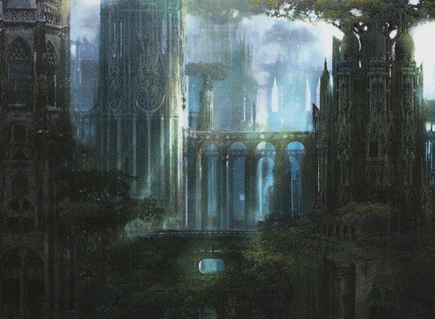Forest