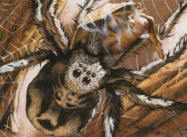 Giant Spider