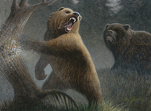 Grizzly Bears