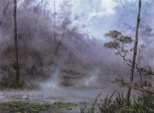 Llanowar Wastes
