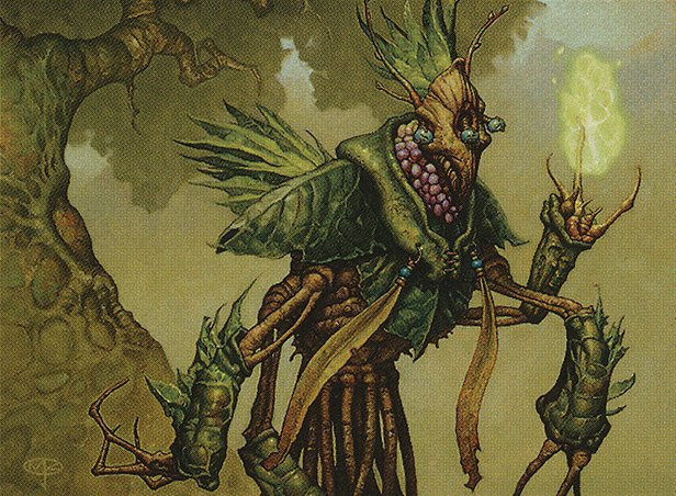 Molimo, Maro-Sorcerer