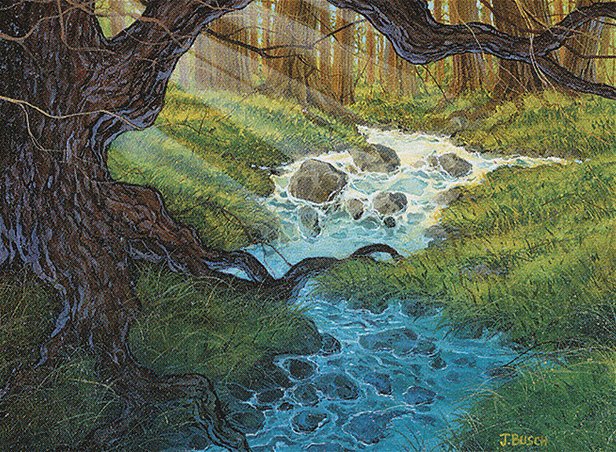 Natural Spring