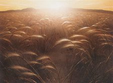 Plains