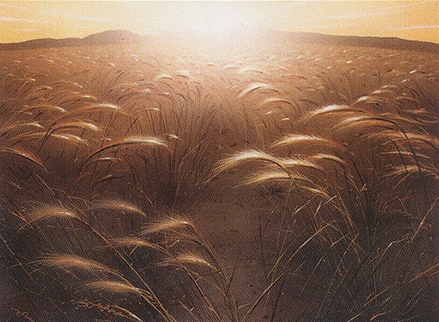 Plains