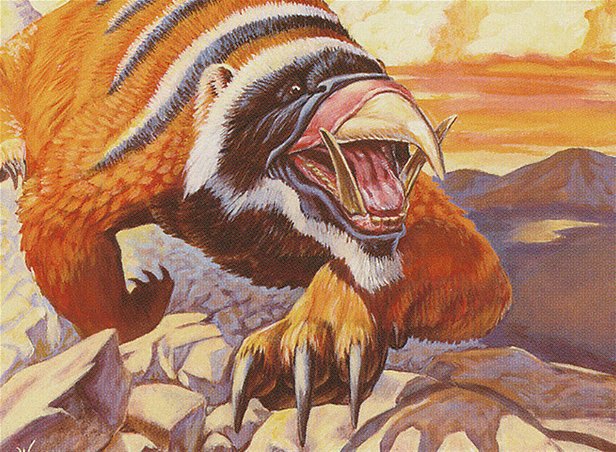 Rock Badger