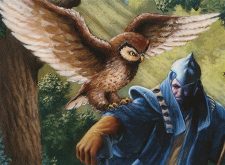 Sage Owl