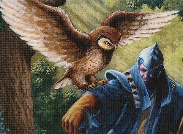 Sage Owl