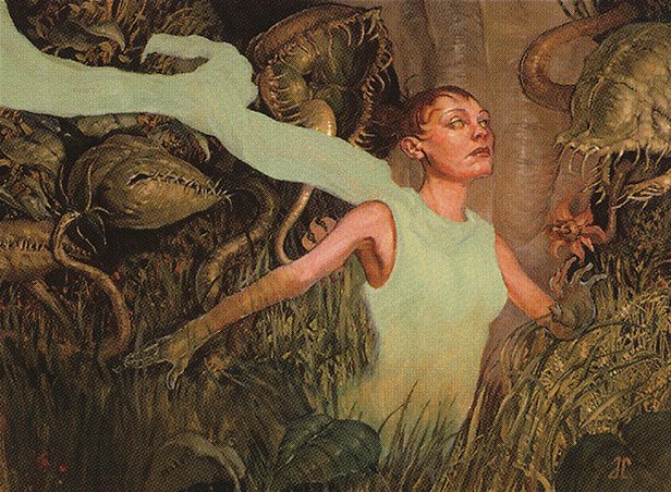 Seedborn Muse