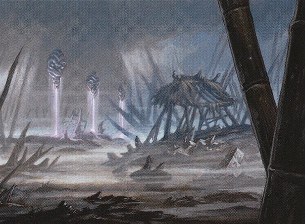 Swamp