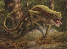 Sylvan Basilisk