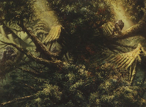 Treetop Village