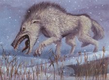 Tundra Wolves