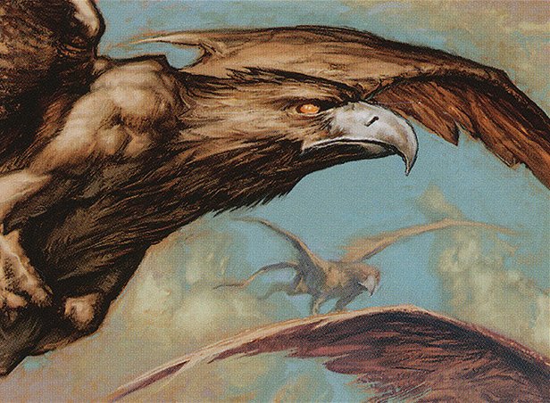 Wild Griffin