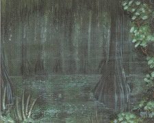 Bayou