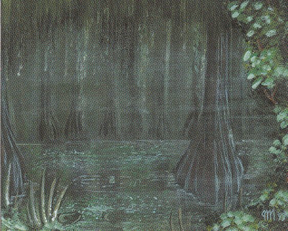 Bayou