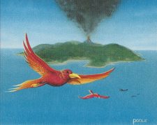Birds of Paradise