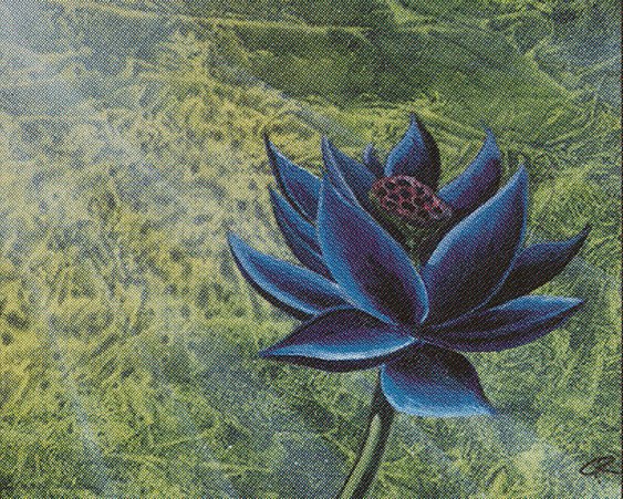 Black Lotus