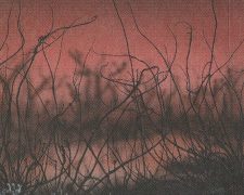 Cursed Land