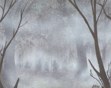 Fog
