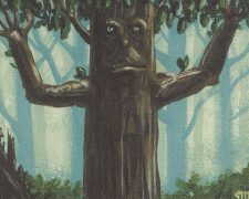 Ironroot Treefolk