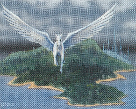 Island Sanctuary