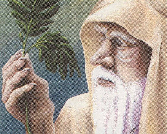 Ley Druid