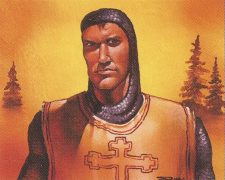 Northern Paladin