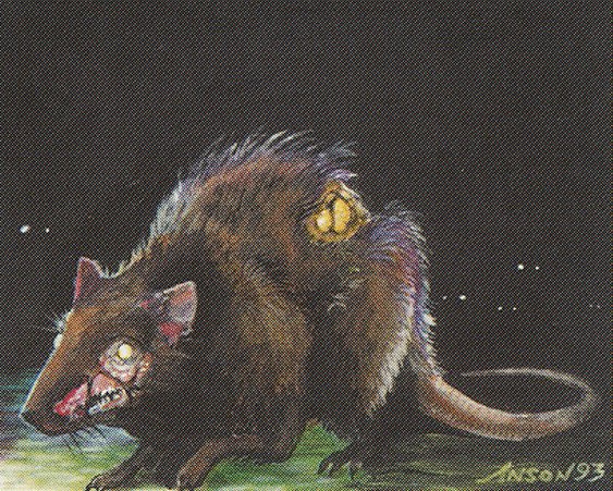 Plague Rats