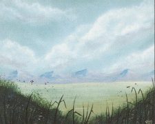 Plains