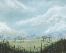 Plains