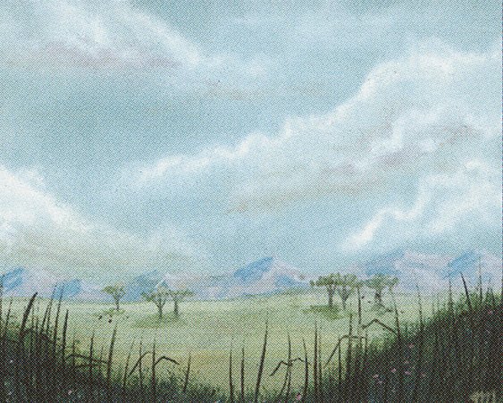 Plains