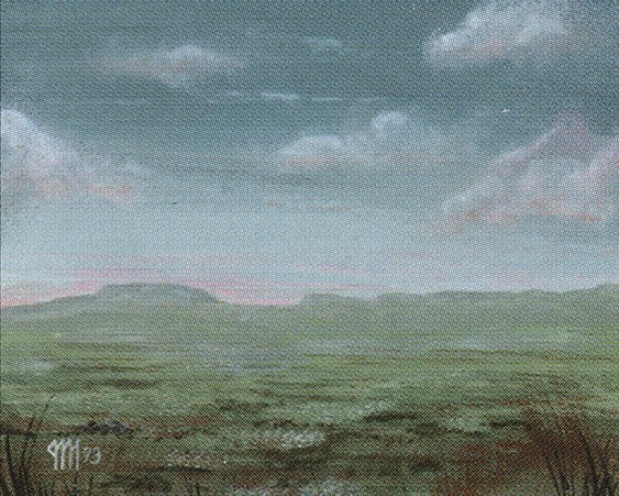 Plains