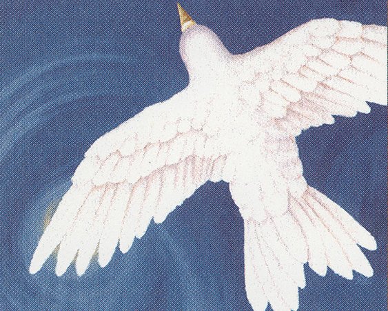 Purelace