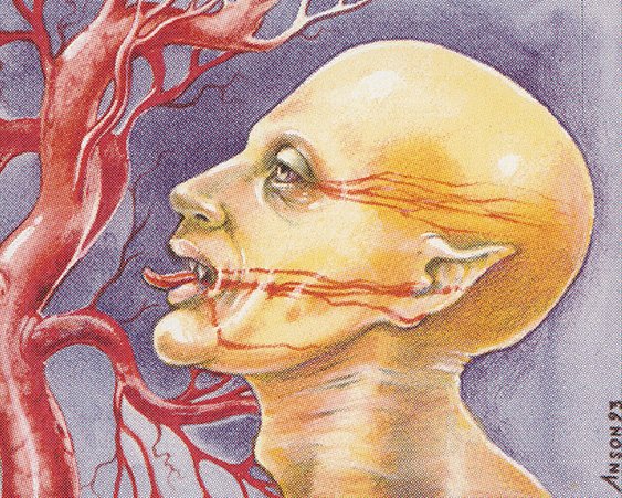 Sengir Vampire