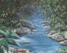 Stream of Life