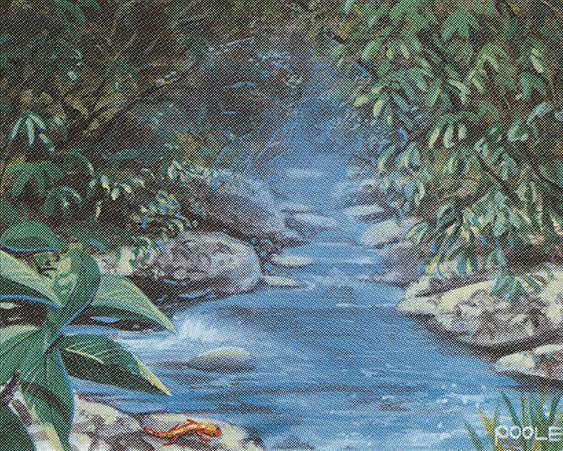 Stream of Life