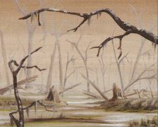 Swamp