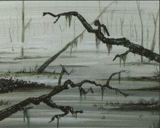 Swamp