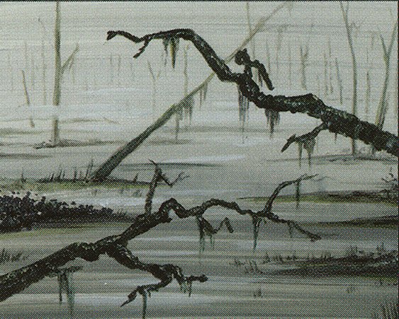 Swamp