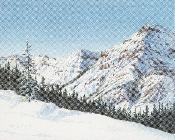 Taiga