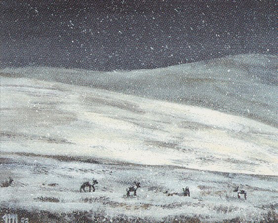 Tundra