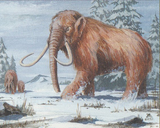 War Mammoth