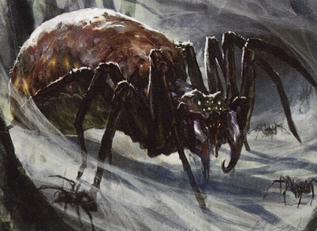 Arachnus Spinner