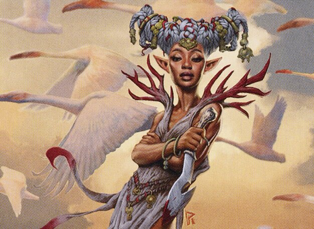 Bloodbraid Elf