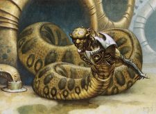 Coiling Oracle